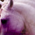 :iconbaveh: