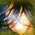:iconbaxter5566:
