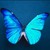 :iconbayleemay: