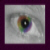 :iconbayn77:
