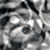 :iconbazi-bazi: