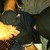 :iconbazral234: