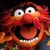 :iconbbackerjr: