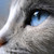 Bbinstallation :iconbbinstallation: