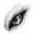:iconbbishop: