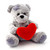 :iconbboya121: