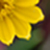 :iconbcafe: