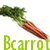 :iconbcarrot: