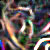 :iconbckcntry: