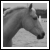 :iconbcphotos: