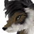 :iconbddebaseur: