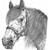 :iconbddesigns: