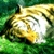 :iconbdgerretson: