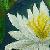 :iconbe-my-somebody: