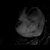 :iconbe-zay: