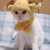 :iconbea78: