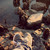 :iconbeachbum757: