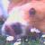:iconbeagler: