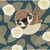 :iconbeamsoflight:
