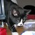 :iconbeandog1988: