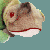 :iconbeanielizardplz: