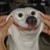 :iconbeanjuice2: