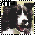 :iconbeanybell: