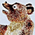 :iconbear-up: