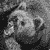 :iconbear141: