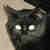 :iconbear2000: