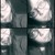 :iconbearclaire95: