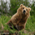 :iconbeardude: