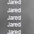 :iconbearfan: