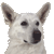 :iconbearman207: