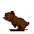 :iconbearpawmedia: