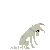 :iconbearsbullspigs: