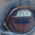 :iconbearsteppinholey: