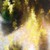 :iconbeart17: