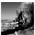 :iconbeastonweed: