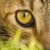 :iconbeastunleashed43: