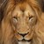 BeastworksFX :iconbeastworksfx: