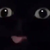 :iconbeatles456:
