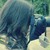 :iconbeatrizdessaune: