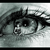 :iconbeatrizribeiro: