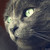 :iconbeattrice: