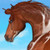 :iconbeaublanc: