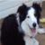 :iconbeautiful-skies: