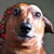:iconbeautiful-t-jakson: