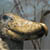 :iconbeautiful-ugly-thing: