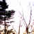 :iconbeautifulanxiety: